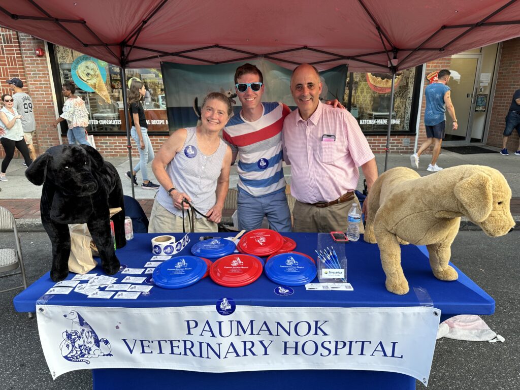 How Paumanok Veterinary Hospital Harnessed AI to Reclaim 50 Hours Per Week