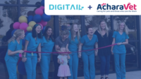 How AcharaVet Boosted Productivity by 30% and Supercharged Team Happiness with Digitail