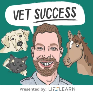 Vet Success Podcast