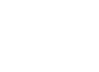 CDMV logo