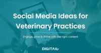 Social Media Ideas for Veterinary Practices