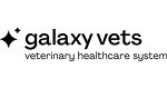 galaxy_vets_logo
