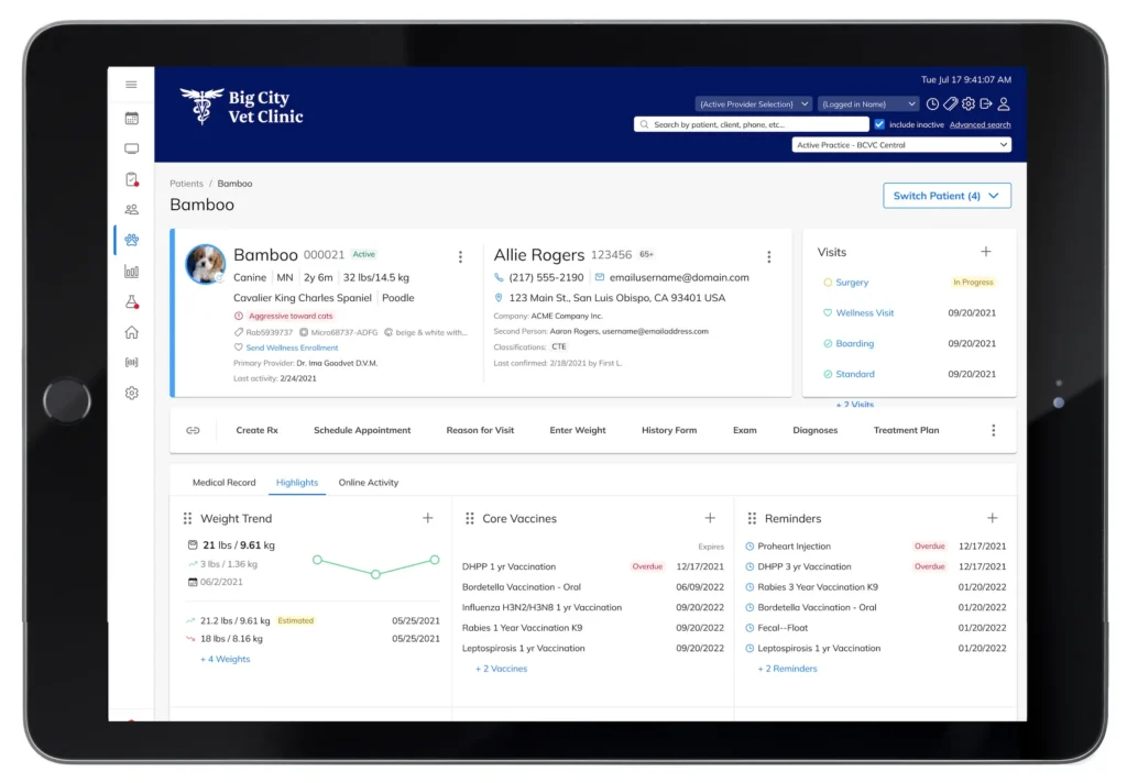 Patient Information