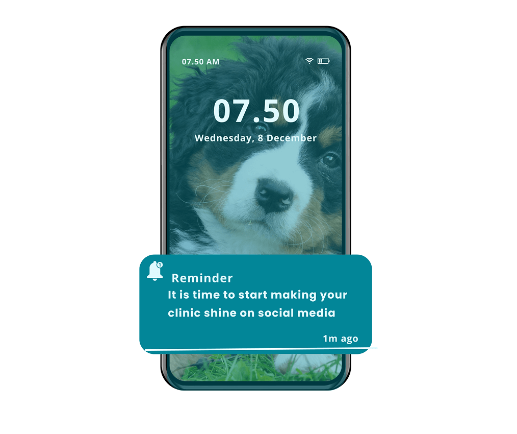 Social media for veterinary clinics & practice managers