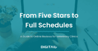 A Guide to Online Reviews for Vet Clinics banner
