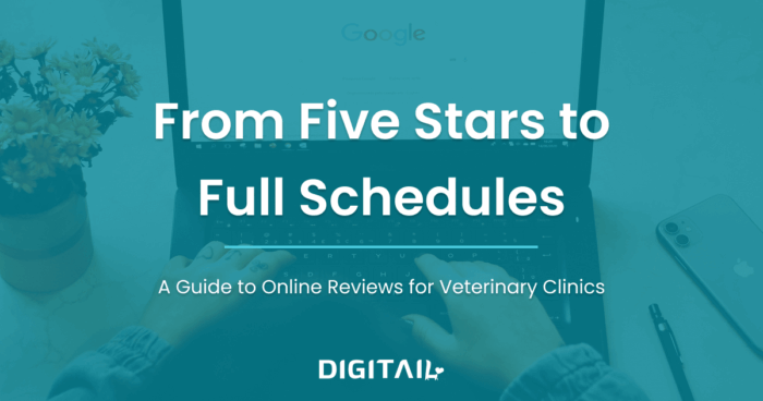 A Guide to Online Reviews for Vet Clinics banner