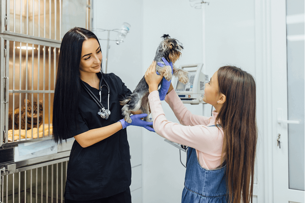 Veterinarian holding a small dog