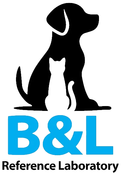 bandl