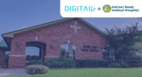 Hefner Road Animal Hospital