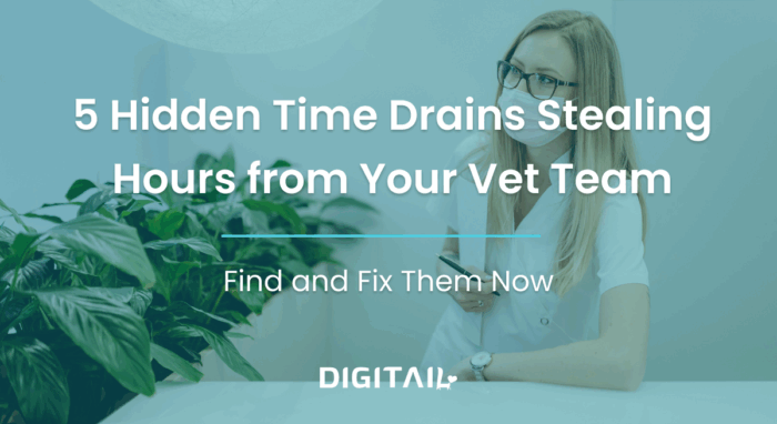 Veterinary Reception