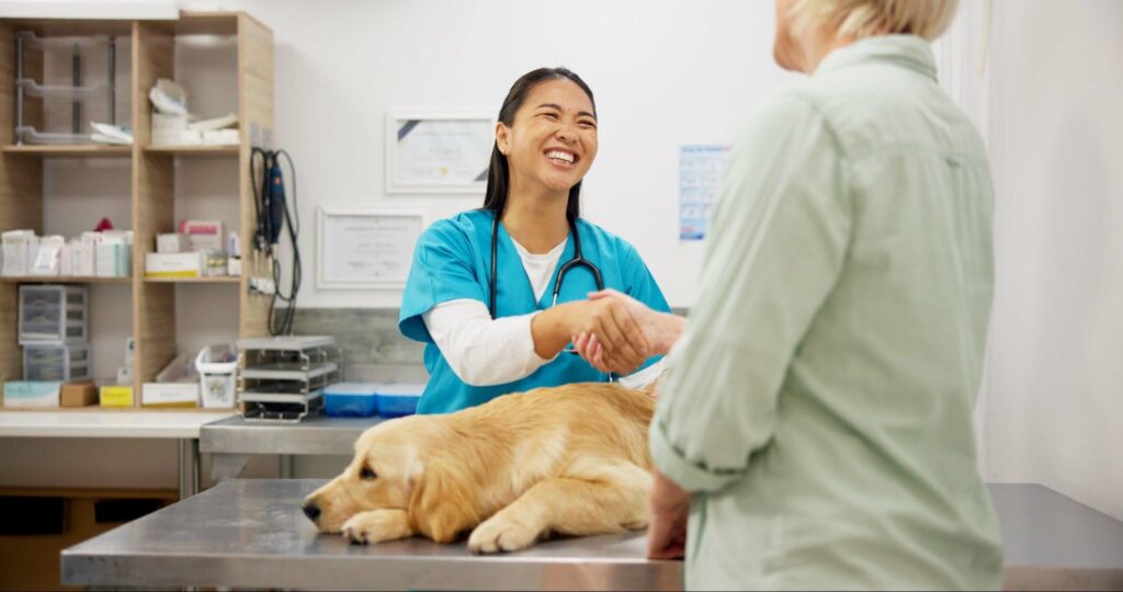 veterinarian and pet owner shake hands