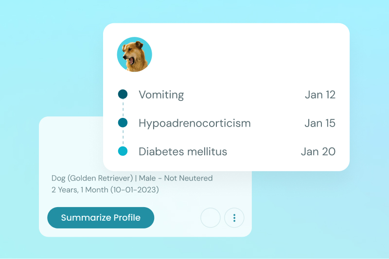 ai-dictation interface