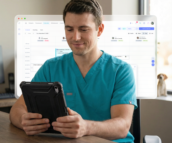 Photo interface Vet with Tablet