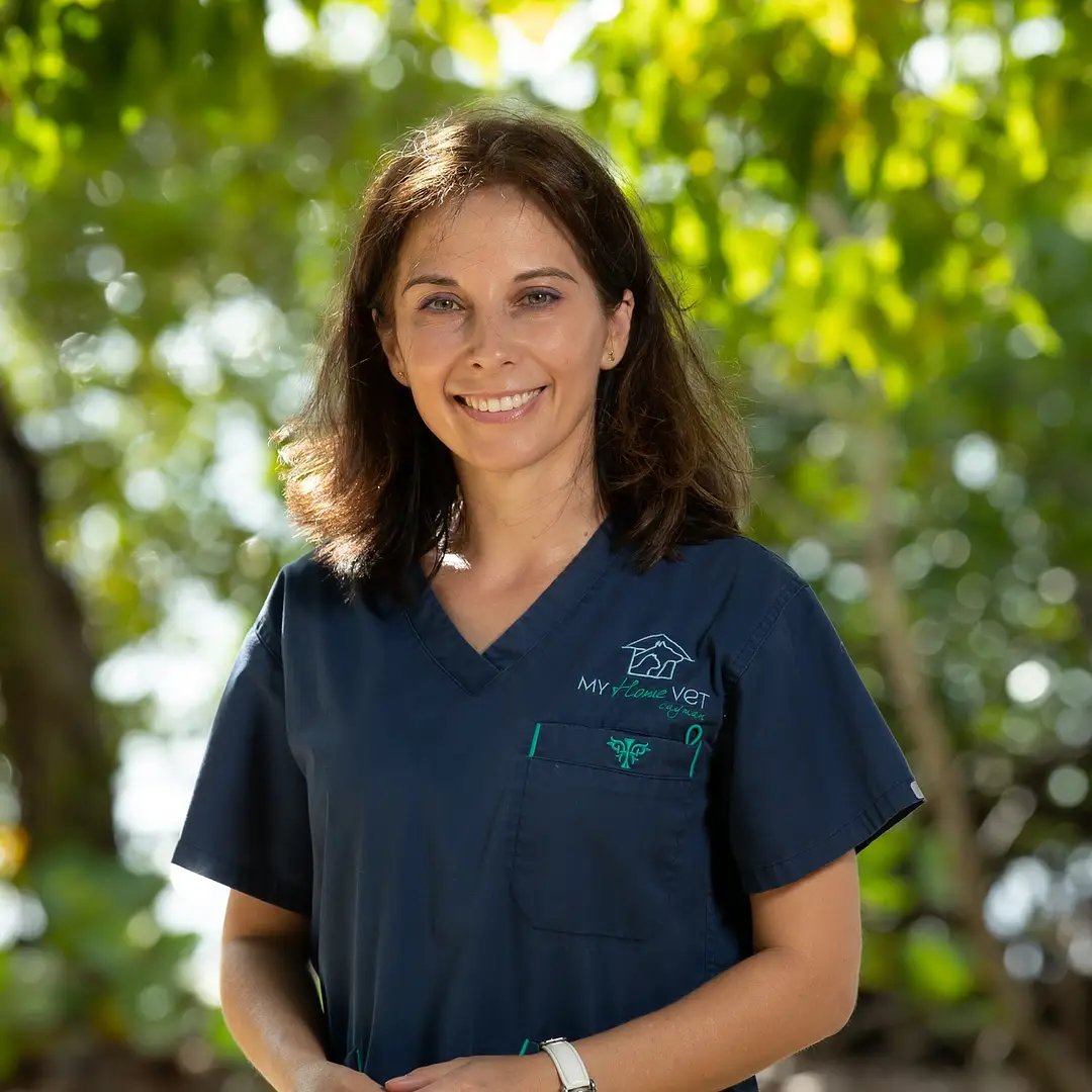 Dr Andrea My Home Vet 