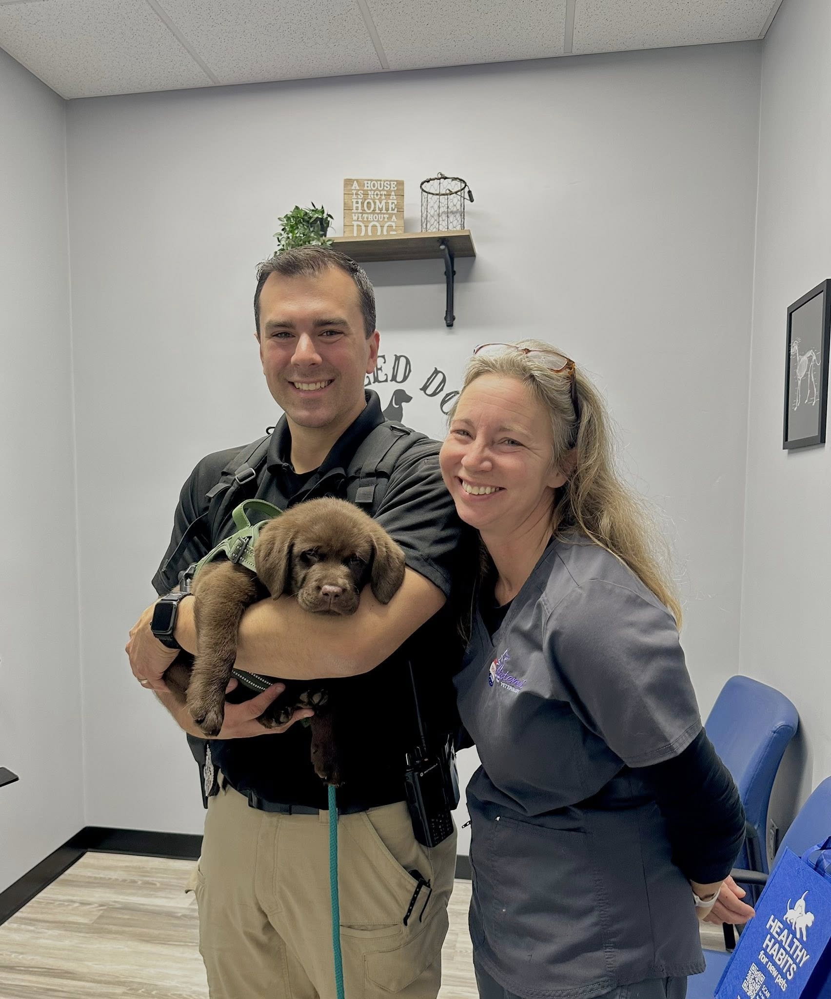 Artemis Veterinary Mobile Clinic