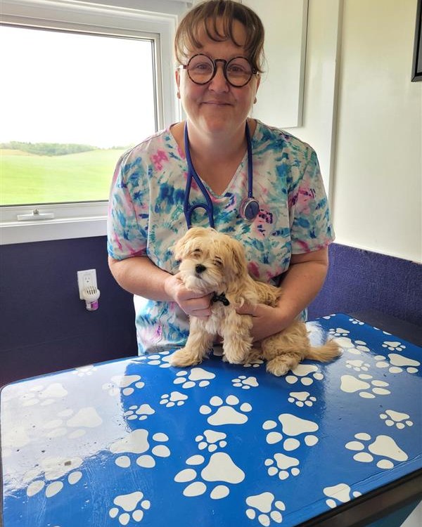 Dr. Michelle Woodruff