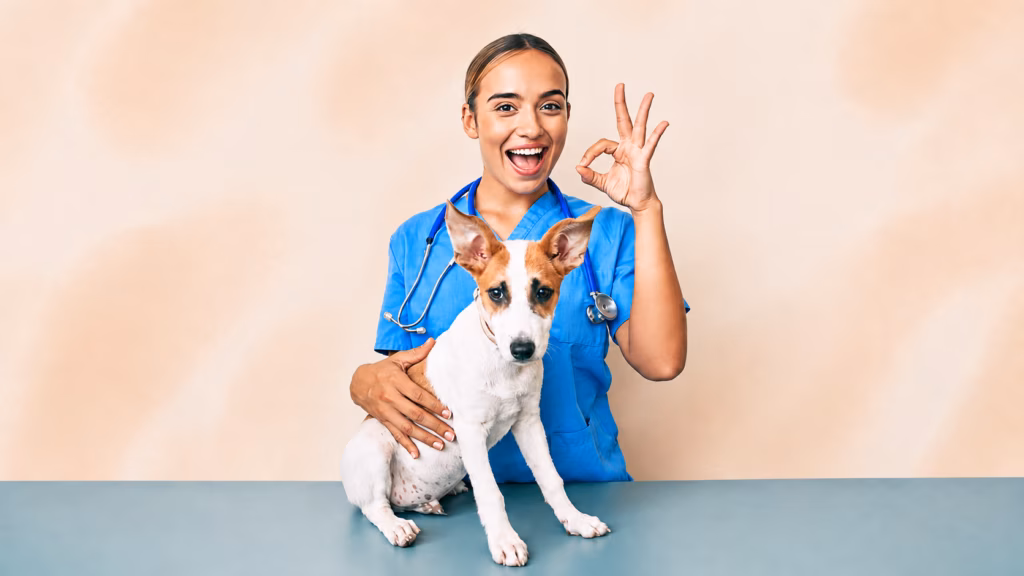 How to Use AI Safely in Veterinary Practice