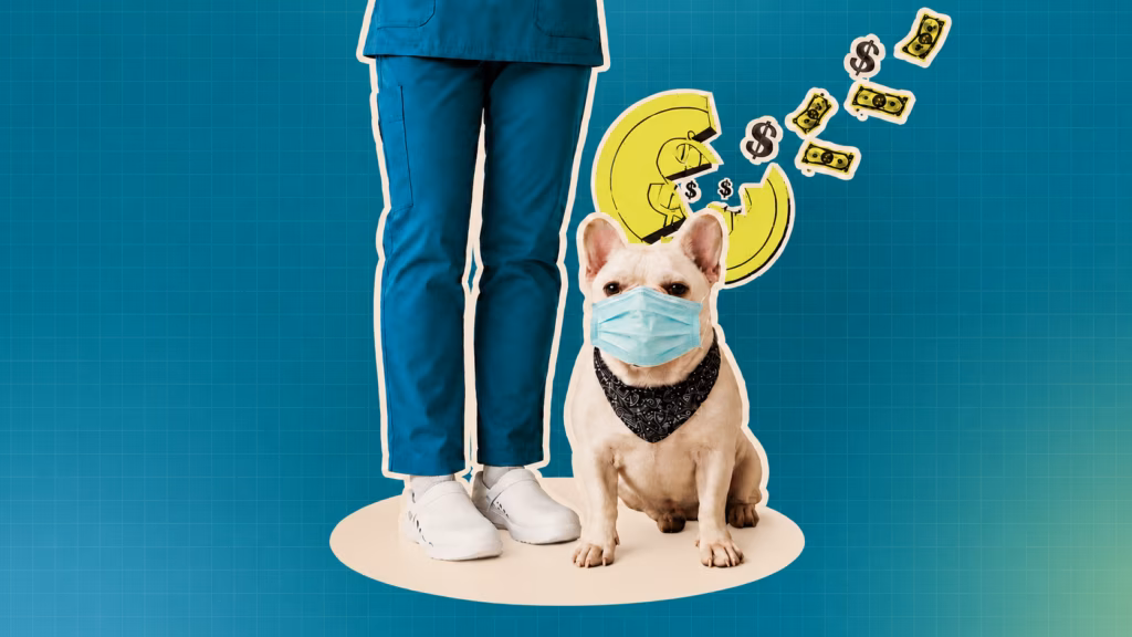 4 Workflow Breakpoints That Hurt Pet Parent Experience Most