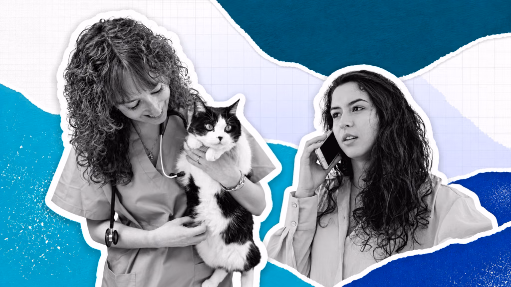 Veterinary Phone Systems With AI: What to Look For Before You Switch